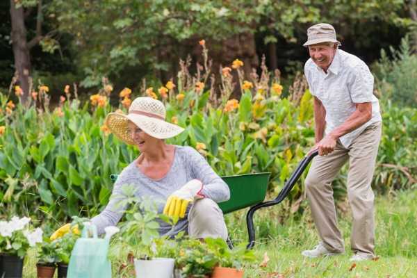 A Senior's Guide to Easy Gardening: How to Create a Low-Maintenance Garden